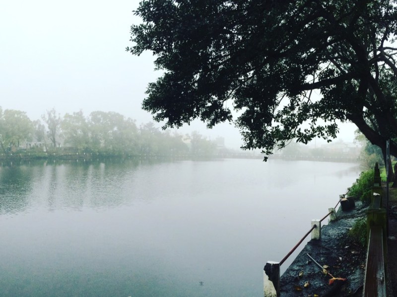 跟著焦桐，滇味到龍岡