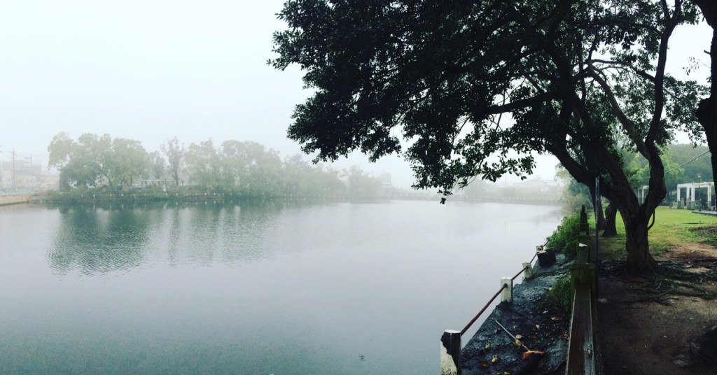 跟著焦桐，滇味到龍岡