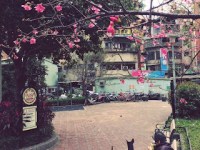 生命，如此脆弱