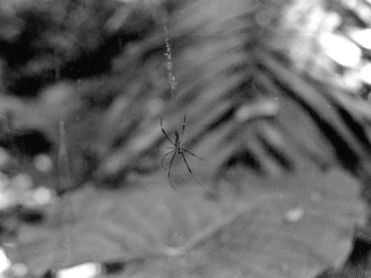 性格、文化價值觀…