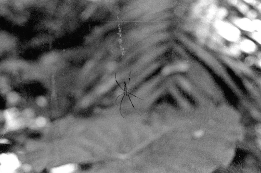 性格、文化價值觀…