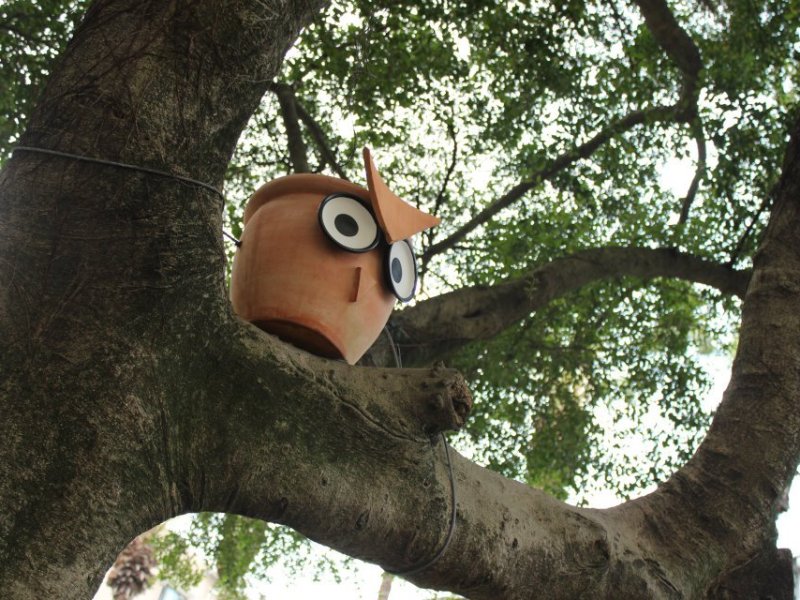 孩子與孩子的戰爭