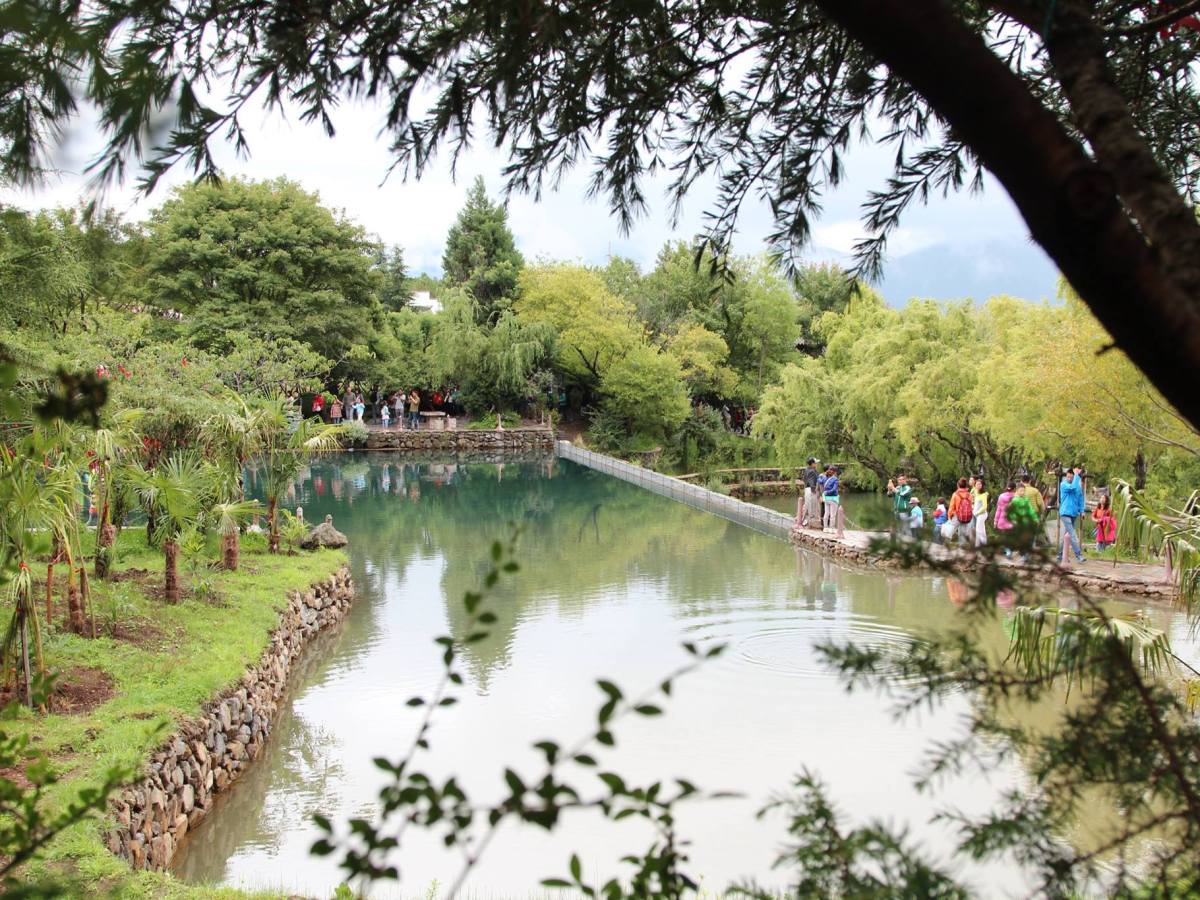 【2015 年雲南旅行】麗江古城的慢活與東巴文化