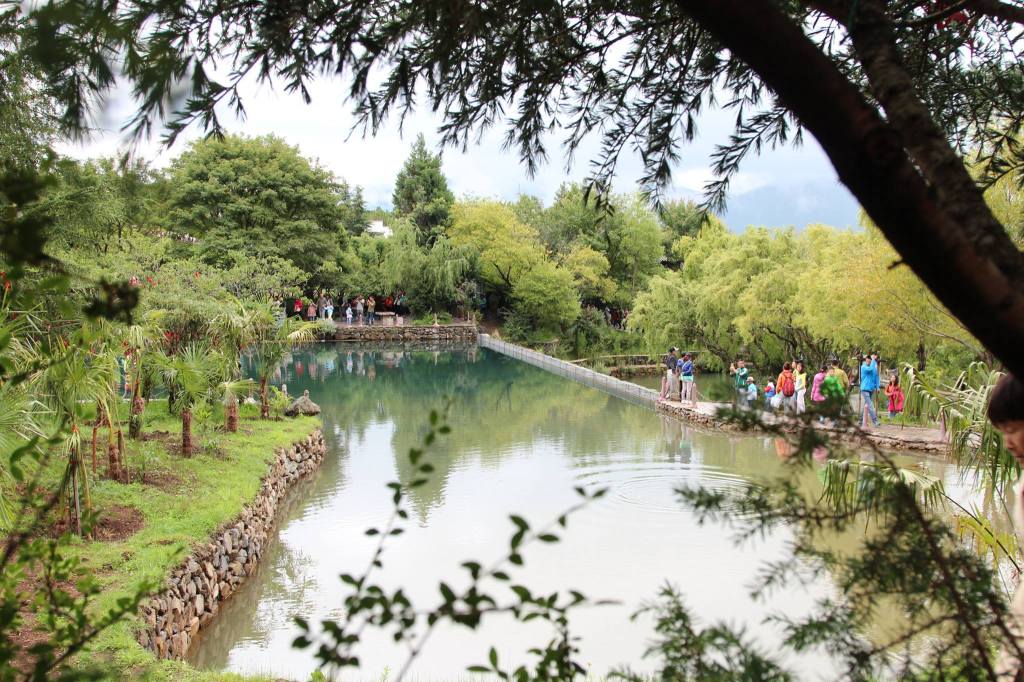 【2015 年雲南旅行】麗江古城的慢活與東巴文化